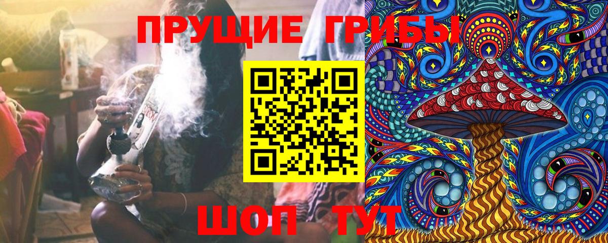 Галлюциногенные грибы GOLDEN TEACHER  Вход с VPN  Свободный 