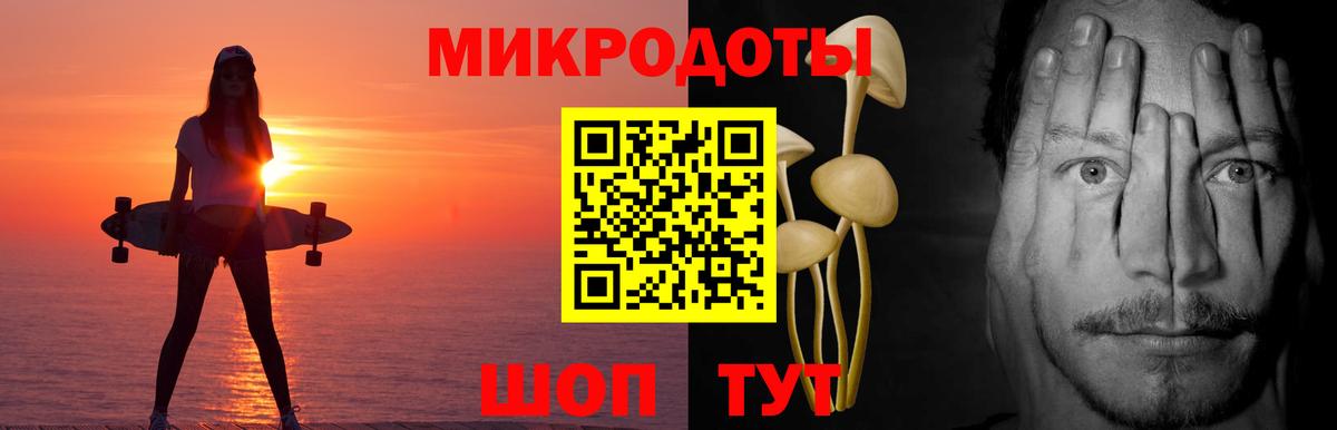 Псилоцибиновые грибы прущие грибы Свободный